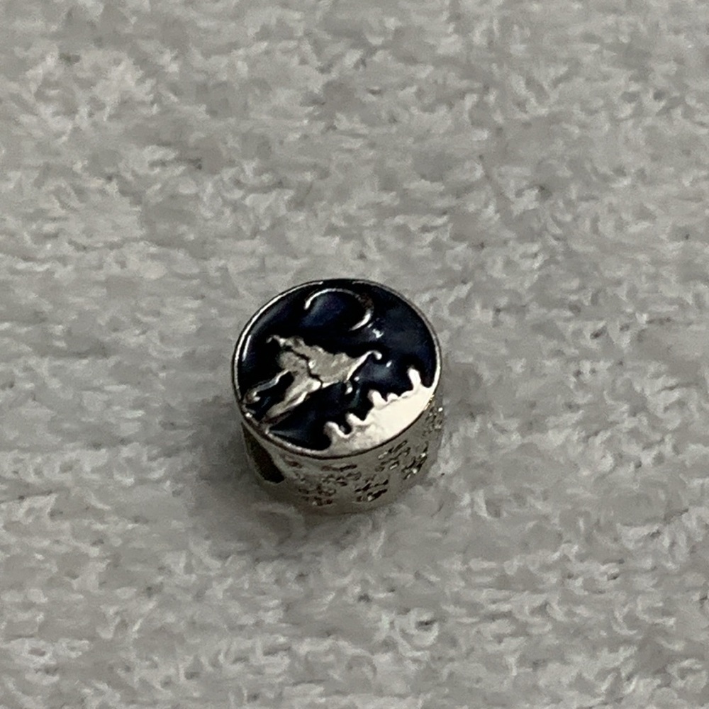 Disney moon magic carpet ride charm fits pandora - Picture 4 of 6